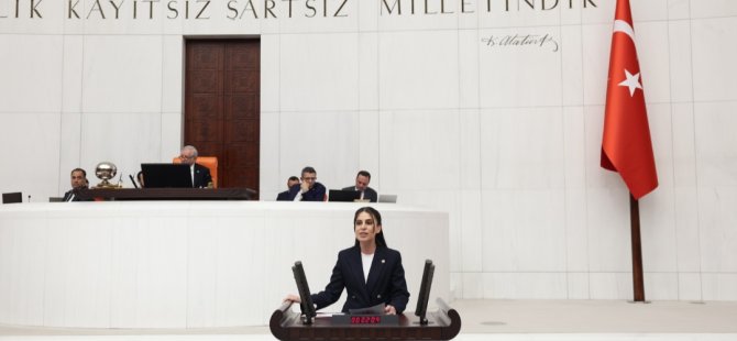 Muğla Milletvekili Avukat Gizem Özcan, Meclis kürsüsünden seslendi: “Narin Güran cinayetinde çocuklarımıza şiddet, tecavüz ve ölüm olarak dönen karanlığa şahit olduk”