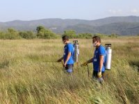 Muğla Büyükşehir’den Bilimsel Yöntemlerle Haşere Mücadelesi