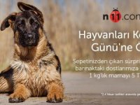 n11.com’dan 4 Nisan Dünya Sokak Hayvanları Günü’ne Özel Kampanya!