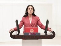 Muğla Milletvekili Gizem Özcan’dan Bodrum’da tehdit edilen gazetecilere destek